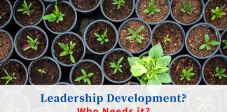 Leadership development